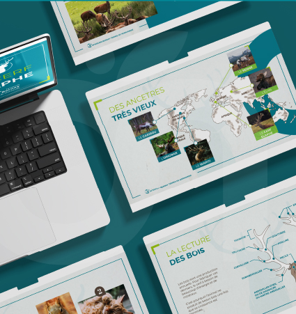 Affiche Sentier d'Art