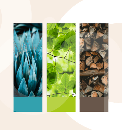 Couleurs Sentier d'Art