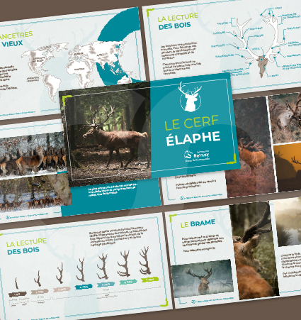 Brochure Sentier d'Art