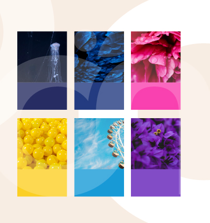 Couleurs Festival Magnetik