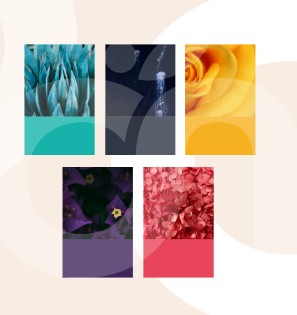 Couleurs Identité visuelle BIJ Orne