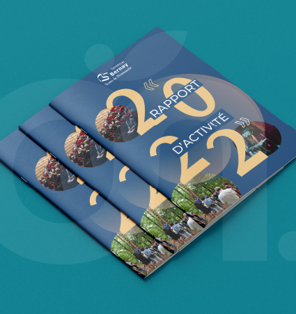 Rapport d'activité Refonte Identité visuel IBTN