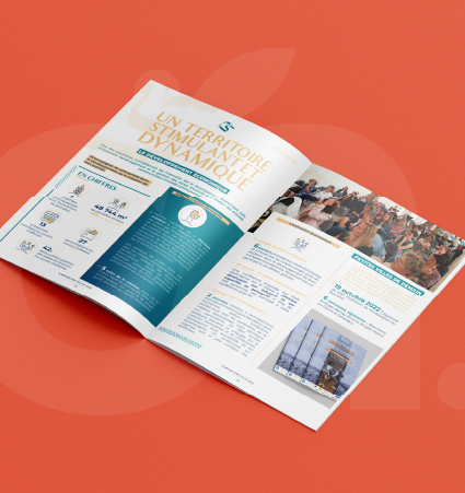 Rapport d'activité Refonte Identité visuel IBTN