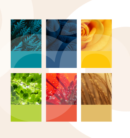 Couleurs Refonte Identité visuel IBTN