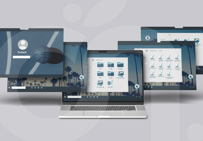 Webdesign Festival Magnetik