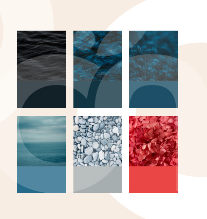 Couleurs Festival Magnetik