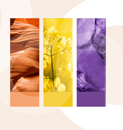 Couleurs Festival Magnetik