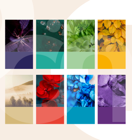 Couleurs Guide des galères